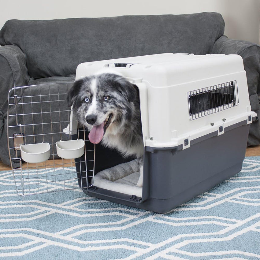 SportPet Designs Plastic Kennels Rolling Plastic Airline Approved Wire Door Travel Dog Crate, XXX-Large, Gray
